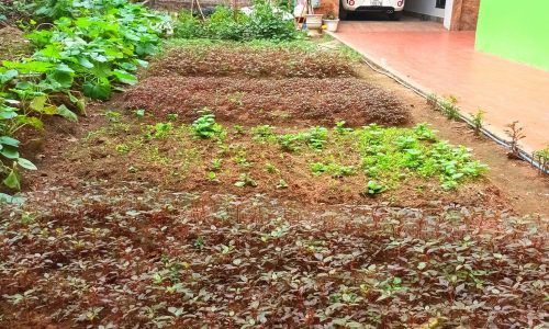 CỰC HOT – Bán đất Ngọc Trì, Thạch Bàn, Long Biên 60m. Giá 6.5 tỷ