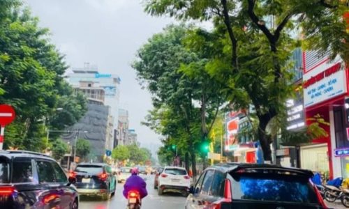 MẶT PHỐ Trần Quốc Hoàn Cầu Giấy 22 tỷ, vỉa hè, thang máy, kinh doanh sầm uất