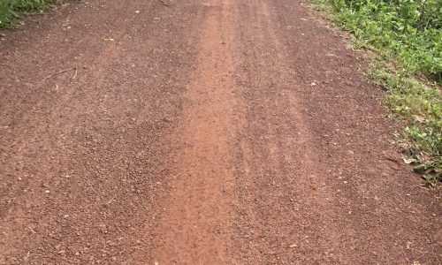 Đất Giá Rẻ Ấp 3, Bàu Đồn, Sát KCN Hiệp Thạnh, 5×25, Giá 500 Tr