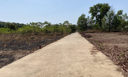 Vợ chồng tôi cần bán rẻ miếng đất tại Trảng Bom