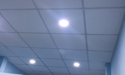 Cho thuê nhà nguyên căn đường Thống Nhất, phường 11 , Gò Vấp