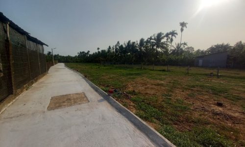 BÁN GẤP NỀN ĐẤT TP.MỸ THO GIÁ 409 TRIỆU 6