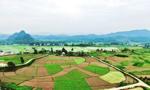 Bán gấp đất 3400m2 chỉ 300k/m2 có 400m2 ONT tại Tân Lạc, bám mặt đường bê tông liên thôn 34m