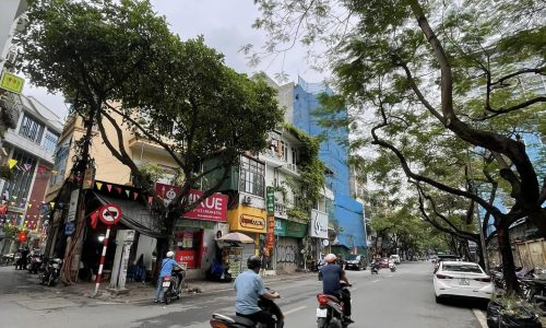 Siêu Phẩm MP Núi Trúc Ba Đình Dòng Tiền Cho Thuê 200tr 1 Tháng 220m2 8T Mt 47 TỶ