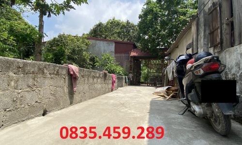 Bán đất Chỉ Đạo – Văn Lâm, Lô đẹp, 100m, Giá chỉ 1.2 tỷ