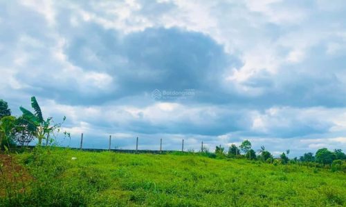 Chỉ 650k/m SỞ HỮU ngay mảnh đất có VỊ TRÍ vô cùng ĐẮC ĐỊA tại Tân Phong, Cao Phong 4000m trong đó đất thổ cư lên tới 1300m, còn lại là đất trồng cây