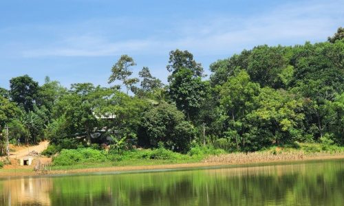Nhu cầu tìm đất vùng ven đặc biệt là các lô đất bám hồ , view hồ có siêu phẩm 1000m2 Xóm Mè, Vũ Bình