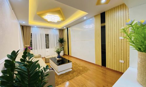 10m ô tô tránh, ở luôn, dân trí cao, bán nhà Trường Chinh chỉ 3.28 tỷ