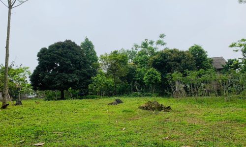 BÁN ĐẤT THỊ TRẤN 1000M2, đã xây tường bao 1000m2 khu xóm Khì, thị trấn Mãn Đức, Tân Lạc ( 200m2 đất ở đô thị)