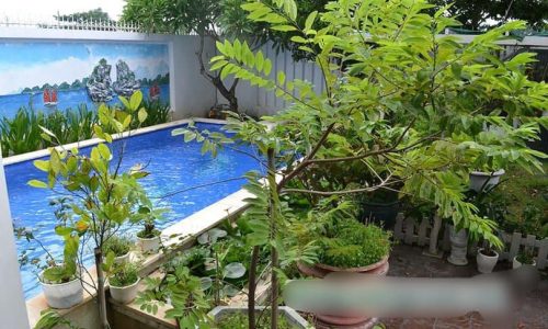 Bán biệt thự sát biển Nguyễn Tất Thành, Đà Nẵng. Dt 378m, giá 27 tỷ.