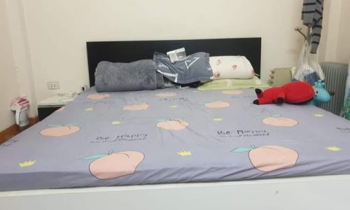 HIẾM bán đất tặng nhà 2T Trần Thái Tông Cầu Giấy 155m x 10.9 tỷ 0343564283