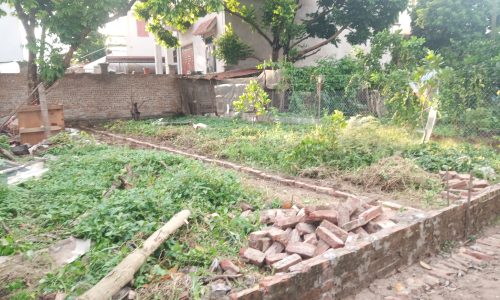 Chỉ  750tr, đất thổ cư sổ đỏ,Gần sát KCN Phố Nối A, đường đẹp: lh 0835459289