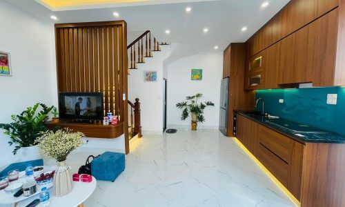 Bán nhà ngõ 45 Cầu Cốc-Tây Mỗ,3 mặt thoáng,50m ra ô tô,ngõ trước nhà 2,5m,tặng ful nội thất,39m2,5T,mt:6,1m