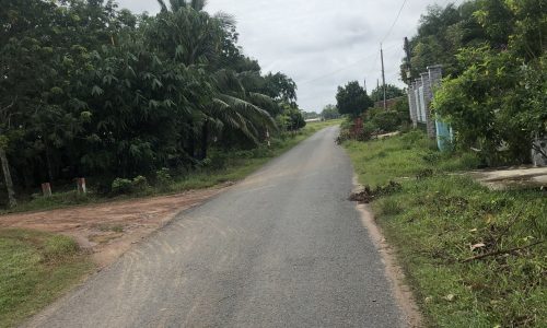 Đất Thổ Cư Đường Bàu Sen Gần KCN Phước Đông Gò Dầu