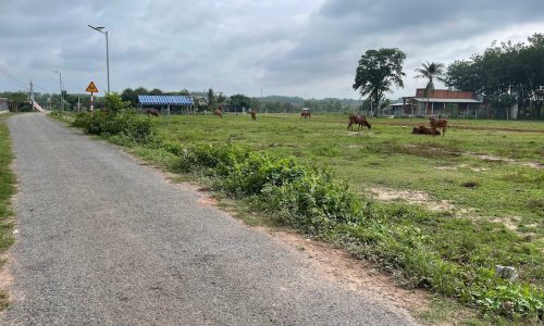 Đất Ngộp Giá Rẻ Ấp 4, Bàu Đồn, Gò Dầu, Tây Ninh