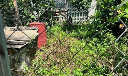 Bán nhà Bến Xe Đức Long – Hòa Phước – Đà Nẵng giá chỉ 1.7 tỷ, gần chợ đầu mối