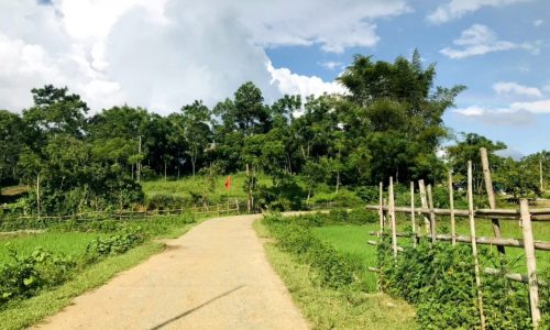 BÁN ĐẤT đẹp khí hậu trong lành, mát mẻ xóm Đung, Phú Vinh diện tích 2793m, có 200m đất ở Chưa đến 300k/m đất