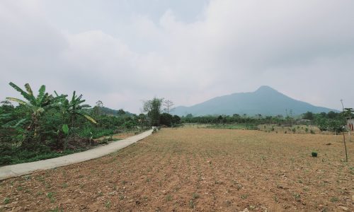 Cần bán nhanh cắt lỗ mảnh 1800m thế đất bằng phẳng sẵn nhà gần khu công nghiệp tại Đà Bắc
