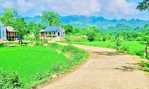Mảnh đất cực đẹp giá cực hạt dẻ tại Xóm Đung, xã Phú Vinh, Tân Lạc  Với diện tích 2793m có 200m ONT Cách QL6 và Đèo Đá Trắng 4km
