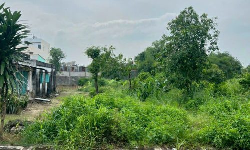 Cần bán lô đất 720m2,Sổ Hồng Riêng,Xã Bàu Đồn-Tây Ninh,giá 750 triệu.