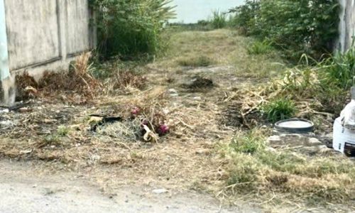 Nợ nhiều quá,chủ bán gấp lô đất 209m2,Nguyễn Thị Lắng,Củ Chi,850 triệu