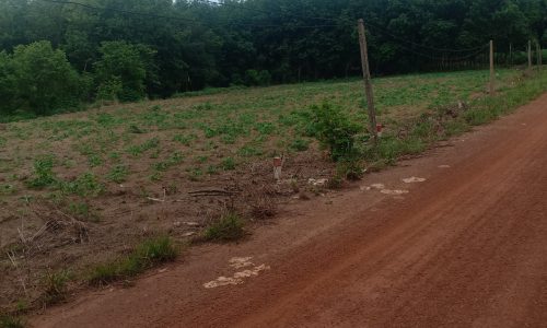 kẹt tiền bán gấp lo đất 1000m2 Dong phú Bình phước