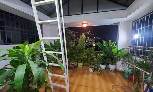 Nhà ĐẸP, khu VIP, sát HXH thông Phan Đăng Lưu, PN, 5 tầng, 3PN, tặng hết NT,49m2, nhỉnh 8 tỷ