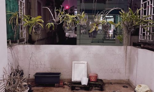 Chỉ nhỉnh 9 tỷ có 53m2 nhà đẹp 3 tầng đ. 3.2 thông Điện Biên Phủ, an ninh, 3PN, 4WC