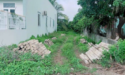 Bán lô đất 250m2 ngay Tỉnh Lộ 2, xã Tân An Hội Củ Chi,giá 780 triệu.