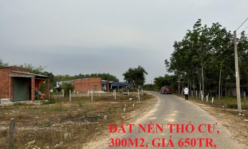 CHÍNH CHỦ BÁN ĐẤT NGAY HUYỆN BẾN CẦU, GIÁ 650TR, 300M2 THỔ CƯ