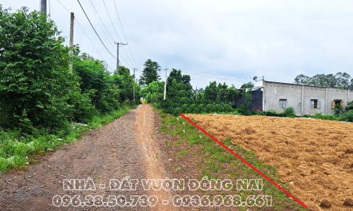 Cần bán gấp 3.000 m² đất CLN , Định Quán –  Đồng Nai ,giá chỉ 2 tỷ 200