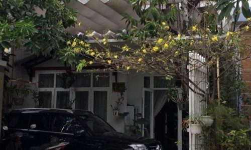 CHÍNH CHỦ ĐANG KẸT TIỀN, CẦN BÁN GẤP NHÀ VƯỜN 200M2 Ở TRUNG TÂM TP THỦ ĐỨC