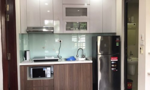 Cho thuê CHDV 1N 1K tại Phố Liễu Giai, Vạn Bảo, Ba Đình. Phòng rộng 2 thoáng. Chỉ 9.5tr