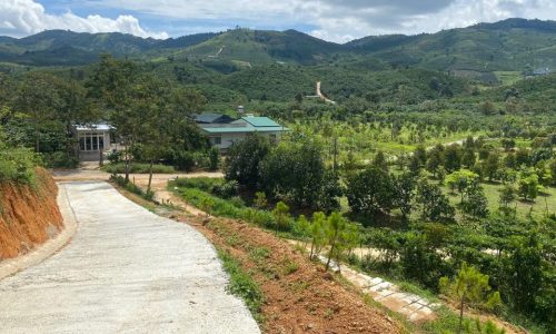 bán đất ven đà lạt diện tích 1000m2 giá 1tr7/2 sổ sẵn