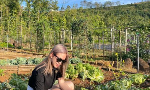 ĐẤT VEN ĐÀ LẠT DIỆN TÍCH 519M2 SẴN THỔ CƯ GIÁ 1TY350