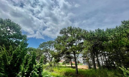 Đất quy hoạch thổ cư Đà Lạt diện tích 519m2 giá 1ty350