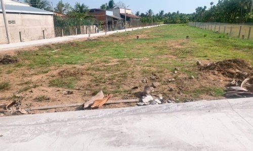 Bán 89m2 đất thổ cư tại TP MỸ THO.Sang tên trong ngày