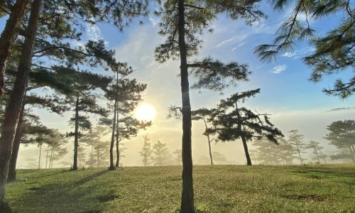 CẦN SANG NHƯỢNG ĐẤT ĐÀ LẠT 890TR