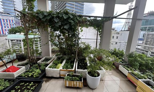 Nhà đẹp lung linh 5 tầng, CMT8, Q3, gần CLB Lan Anh, ngang 4m, nở hậu nhẹ, 77m2, 15 tỷ