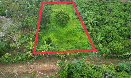 Chính Chũ  Bán Gấp  Mảnh Đất Vườn  P Lộc SƠn