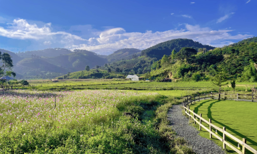 Cơ hội trong tay hốt ngay kẻo lỡ đất Đà Lạt