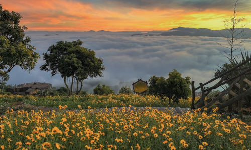 Đất ODT  Đà Lạt 2 giá 890tr cho 515m2 sẵn thổ cư đường ô tô