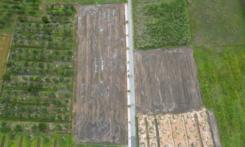 Bán đất nền chỉ 3,9tr/m2 gần KCN Hiệp Thạnh, Gò Dầu, Tây Ninh