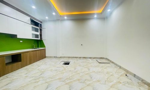 Nhà mới siêu đẹp Phố Phạm Ngọc Thạch dt30m2x5t giá 4.3 tỷ alo 0858663364