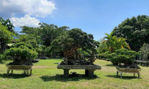 Bán Nhà Vườn 23000M2 Tại Cam Lâm, Khánh Hòa