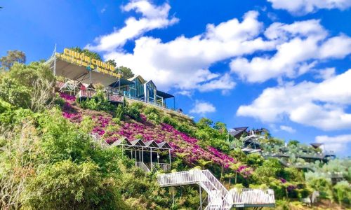 Đât ngoại ô đà lạt 1000m2 giá 1ty5 sổ sẵn