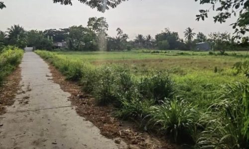 ĐẤT NỀN CAO RÁO GIÁ CẢ HẤP DẪN ÁCH TPST 15 PHÚT DI CHUYỂN