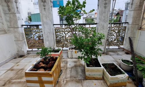 Nhà đẹp nhỉnh 12 tỷ, 70m2, tặng NT 3 tỷ,  HXH cách 5m thông, Lê Văn Sỹ, Q3, 4 tầng, 4PN