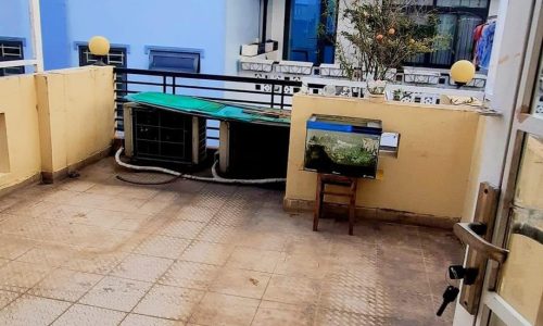 Bán nhà đẹp HXH thông gần MT Nguyễn Tri Phương, Q10, 5 tầng, vừa ở vừa KD, 6PN, nhỉnh 9 tỷ