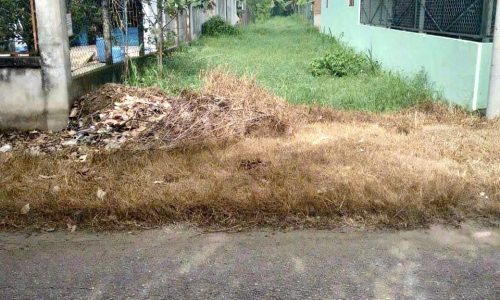 Bán gấp lô đất 218m2,đường Cây Trôm,xã Thái Mỹ,Củ Chi,giá 580 triệu.